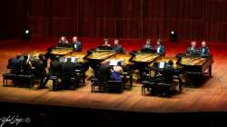 צילום: יואל לוי